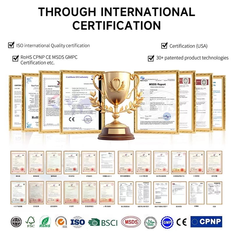 Compliance & Filing Service